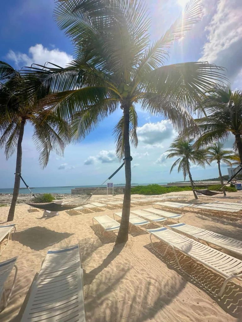 Palm trees and hammocks on a Nassau beach with lounge chairs