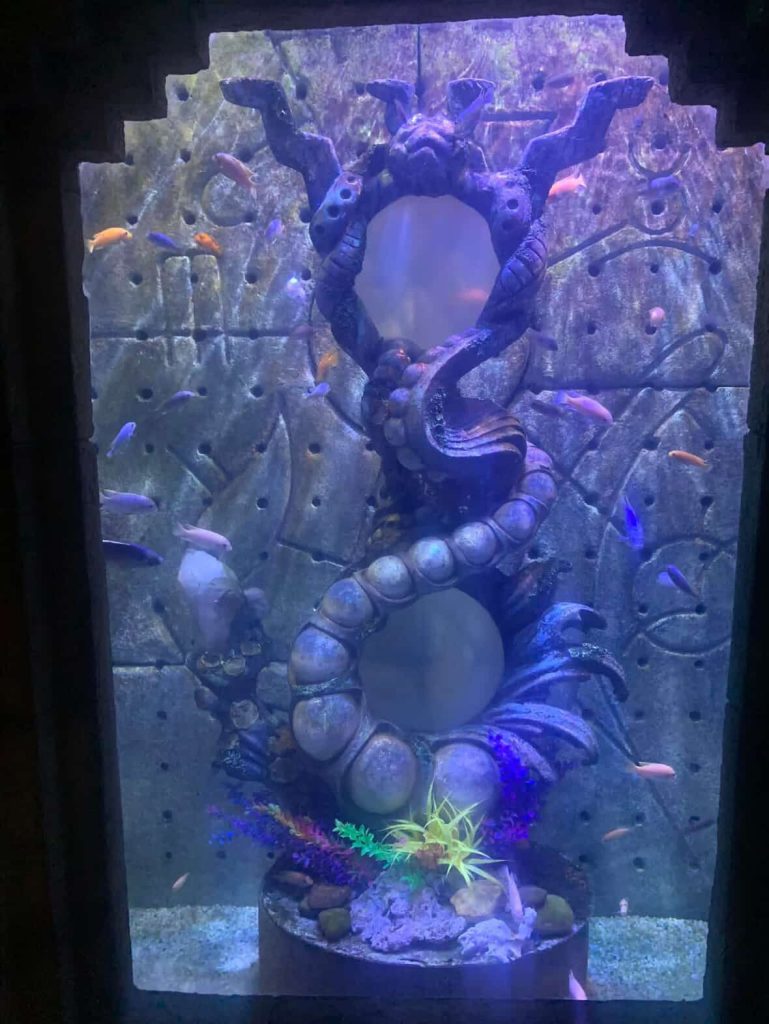 Fantasy aquarium with colorful fish swimming around a spiral sculpture.