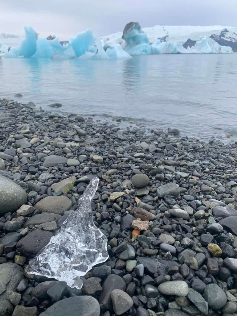 Clear ice shard on black pebble beach with blue icebergs in Jokulsarlon glacier lagoon, Iceland.
