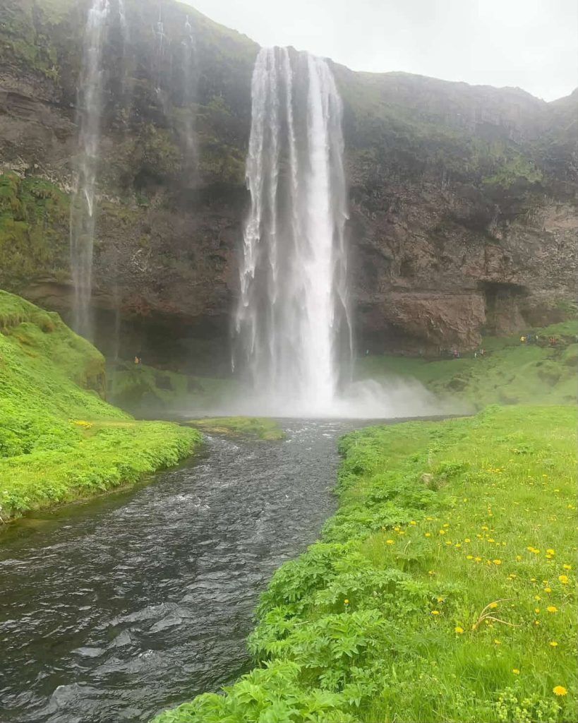 Seljalandsfoss waterfall in Iceland, cascading into a stream surrounded by lush green grass.