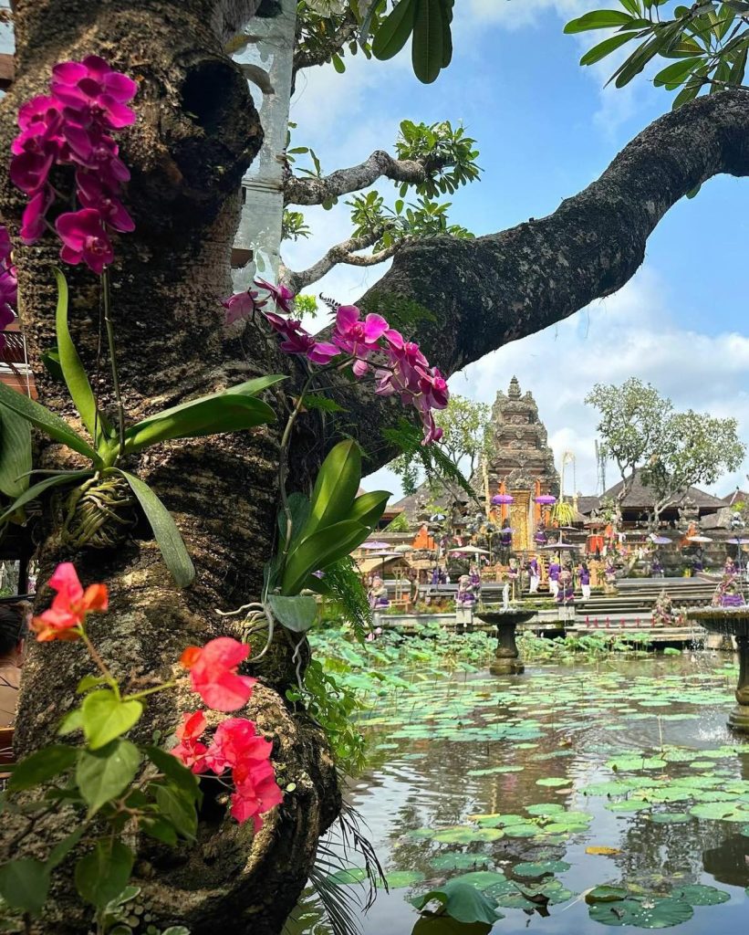 Orchids bloom near a Balinese temple pond with lotus flowers and a tiered pagoda.