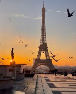 Paris sunrise at the Eiffel Tower, with birds flying, statue silhouette, and city skyline.
