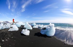 Person on black sand beach with icebergs under blue sky. Iceland landscape.