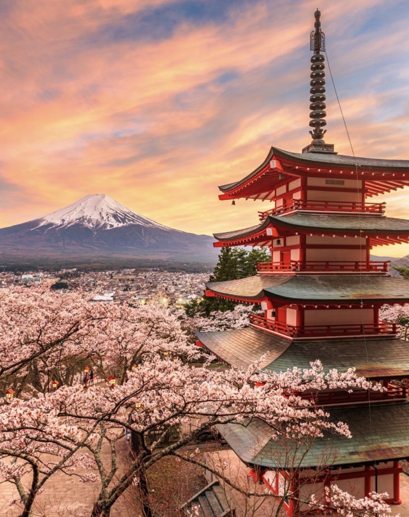 Chureito Pagoda, cherry blossoms, and Mount Fuji at sunset. Scenic Japan landscape.