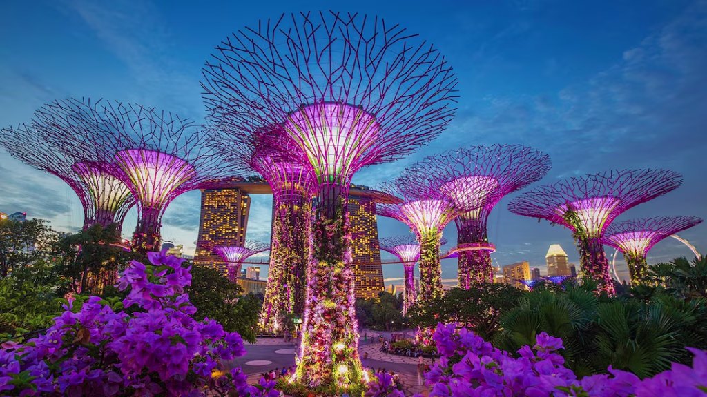 Gardens by the Bay, Singapore at dusk. Supertrees light up pink and green with Marina Bay Sands in the background.