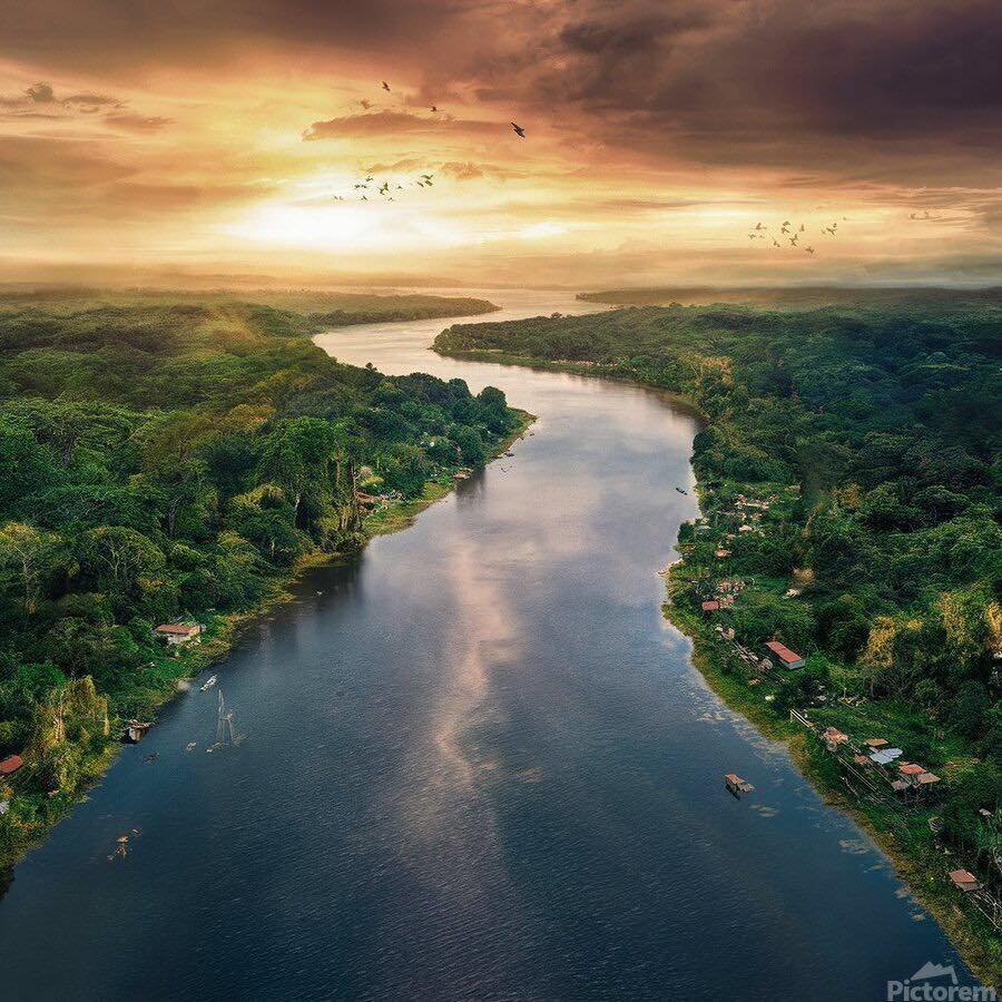 Aerial view of a winding river through a lush green jungle at sunset with birds flying.