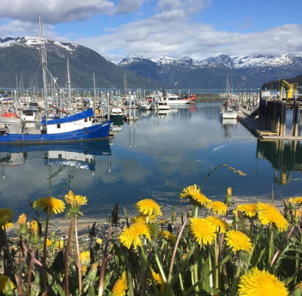 Boats docked in a harbor with snow-capped mountains and a bright blue sky.